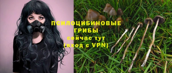 винт Новокубанск