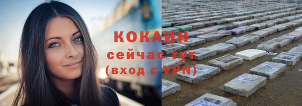 винт Новокубанск